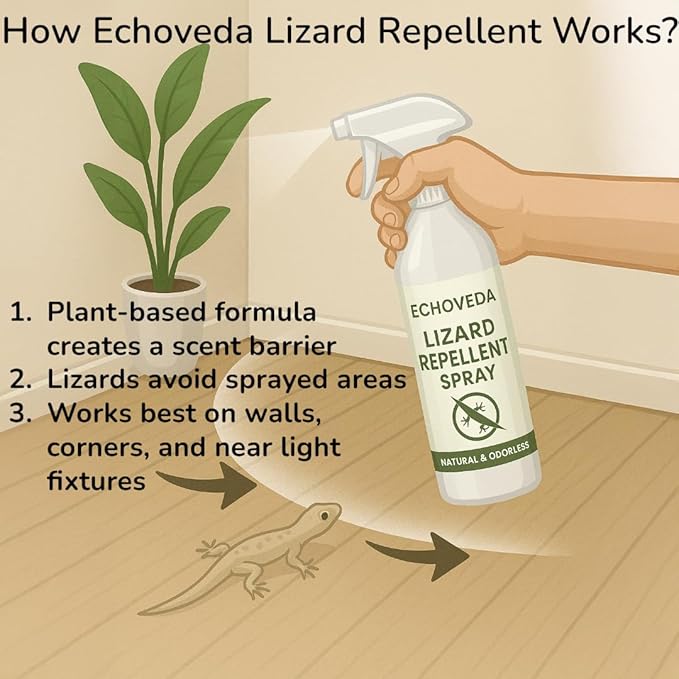 Echoveda Lizard Repellent Spray (200ml) | Indoor & Outdoor Use | Long-Lasting Lizard Control for Home, Kitchen, Windows & Corners | Easy to Use